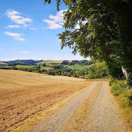 Haus Julia Direkt Am Hennesee Mitten Im Sauerland 梅舍德 外观 照片