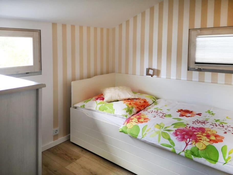 Haus Julia Direkt Am Hennesee Mitten Im Sauerland 梅舍德 外观 照片