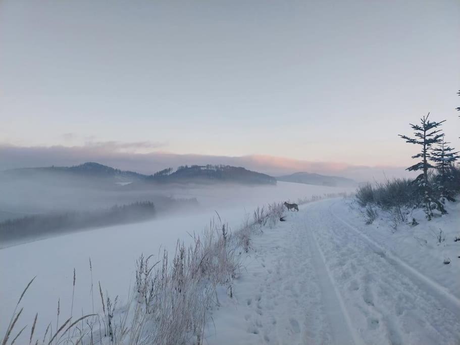 Haus Julia Direkt Am Hennesee Mitten Im Sauerland 梅舍德 外观 照片