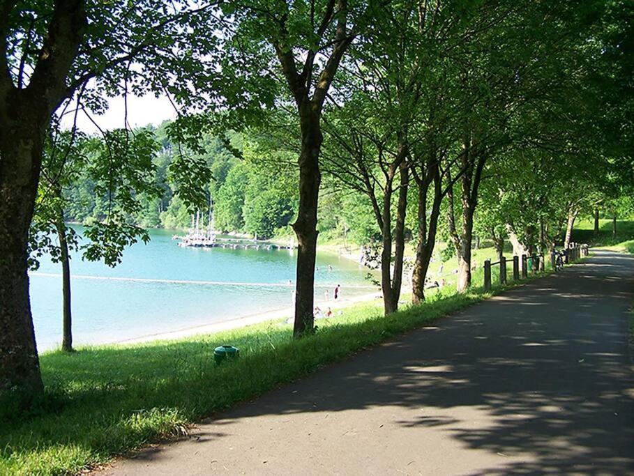 Haus Julia Direkt Am Hennesee Mitten Im Sauerland 梅舍德 外观 照片