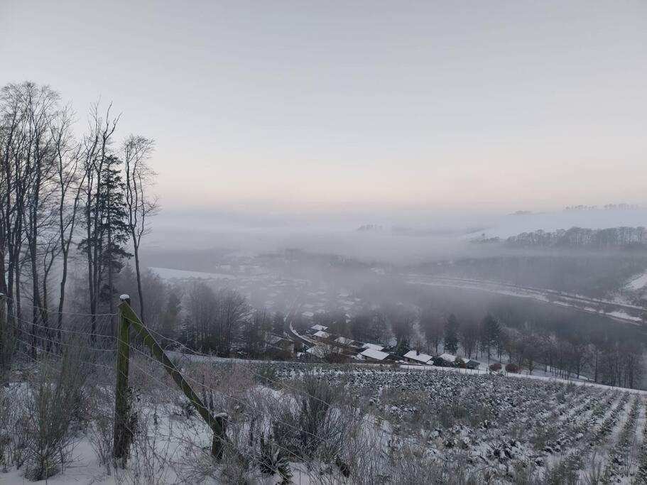 Haus Julia Direkt Am Hennesee Mitten Im Sauerland 梅舍德 外观 照片