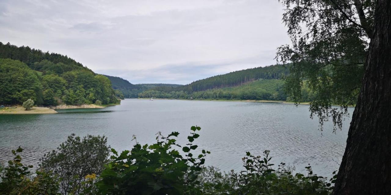 Haus Julia Direkt Am Hennesee Mitten Im Sauerland 梅舍德 外观 照片