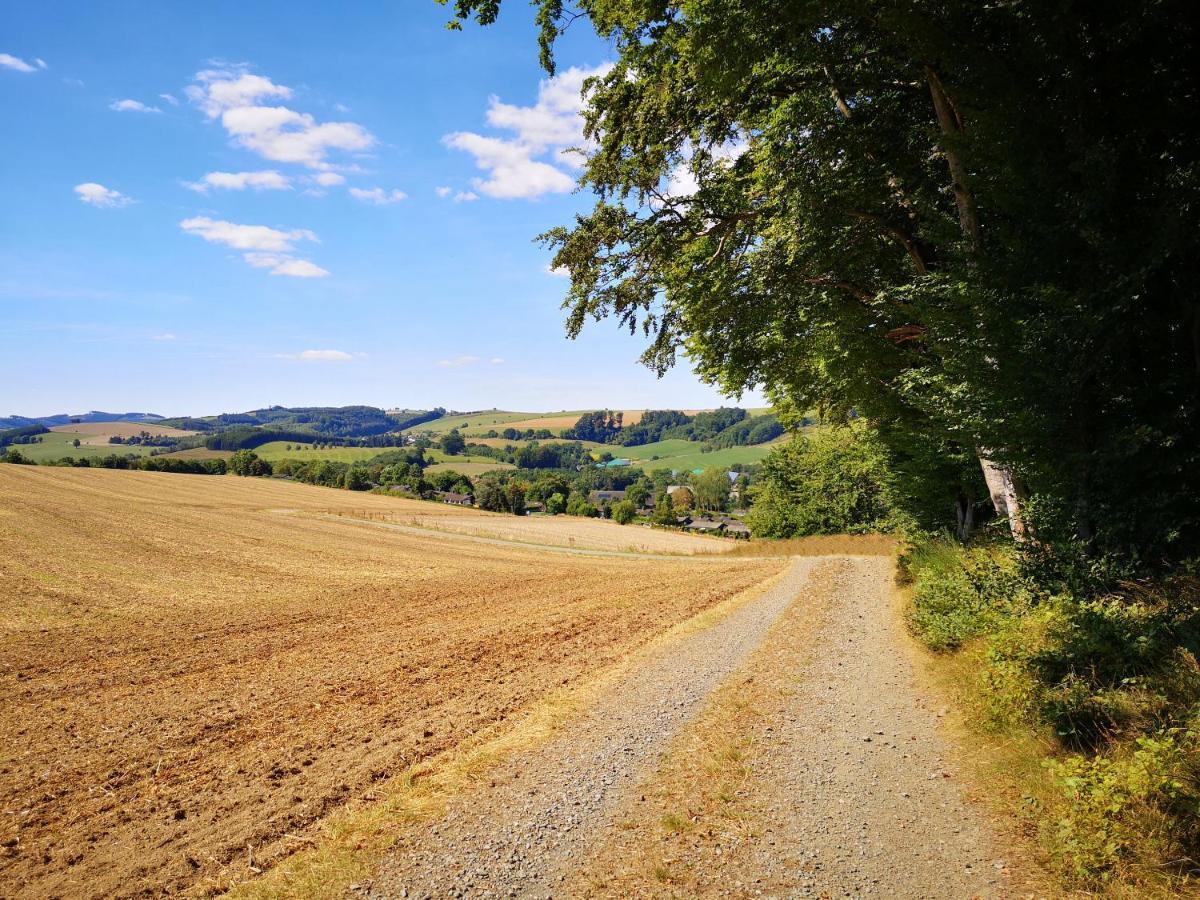 Haus Julia Direkt Am Hennesee Mitten Im Sauerland 梅舍德 外观 照片